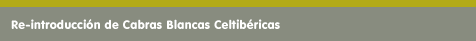 Re-introducci&oacute;n de Cabras Celtib&eacute;ricas