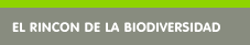 ACTUACIONES
